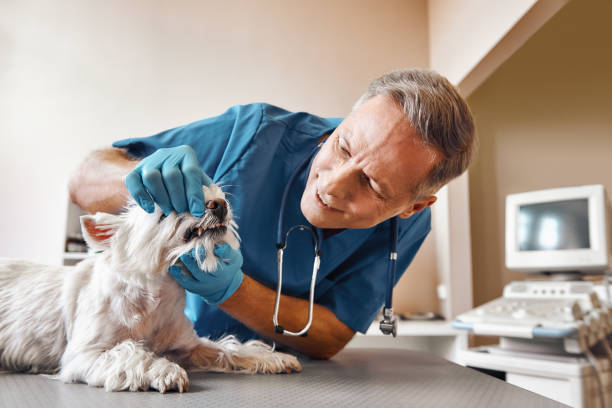 Best Weekend Emergency Dentist in Albany, OR