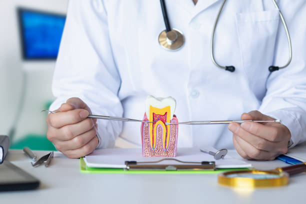 Best Emergency Treatment for Toothache in Albany, OR